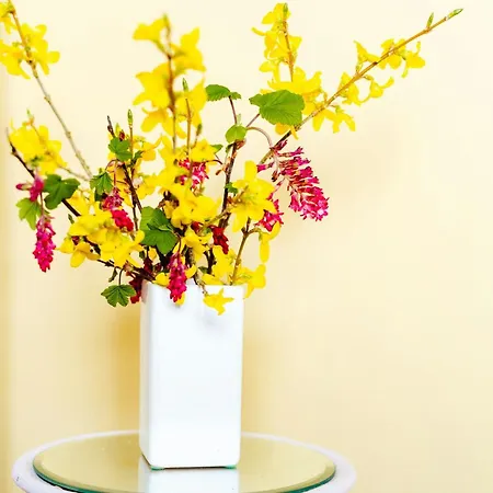 Colourful Family House With Pastels And Garden