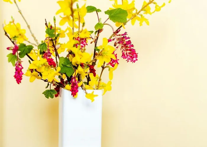 Colourful Family House With Pastels And Garden